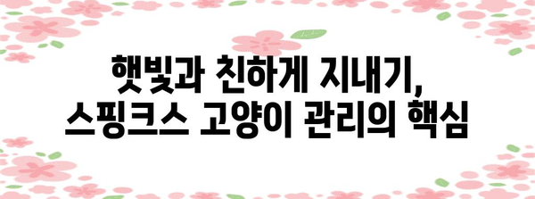 스핑크스 고양이의 성격과 관리 핵심