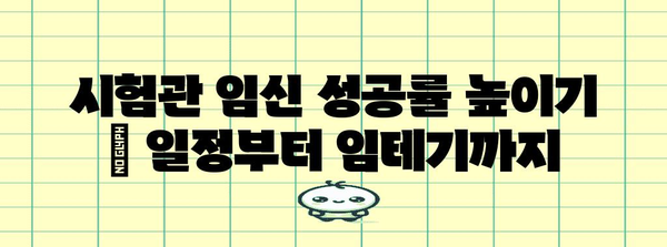 시험관 임신 성공률 높이기 | 일정부터 임테기까지