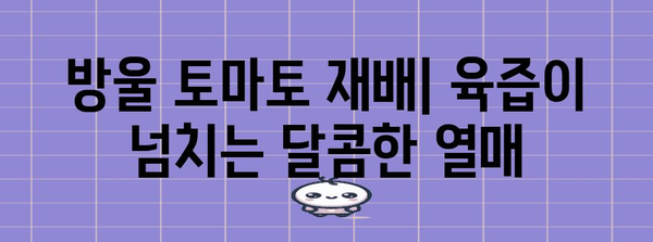 방울 토마토 재배 | 육즙이 넘치는 달콤한 열매