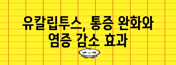 유칼립투스의 강력한 6가지 건강 이점