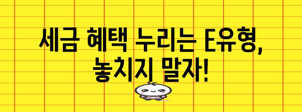 종합 소득세 E유형 절세 비법 모음