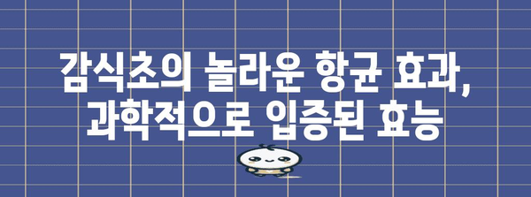 감식초의 강력한 항균 효능 | 천연 살균제의 힘