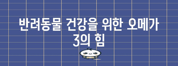 반려동물 영양제 | 오메가 3의 필수성과 건강 효과