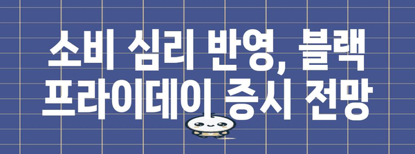 블랙 프라이데이 미국증시