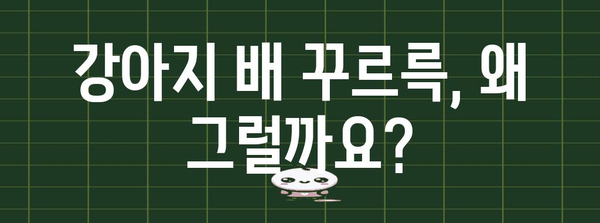 강아지 배 꾸르륵? 설사, 구토 등 복명음 원인 정리 및 해결책