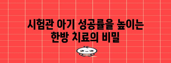 시험관아기 임신 성공 | 한방 치료의 효과적 역할