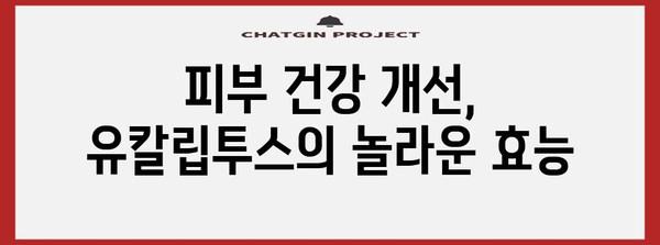 유칼립투스의 강력한 6가지 건강 이점