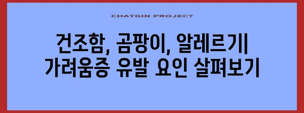 발바닥 가려움증 해결 | 원인 파헤치기