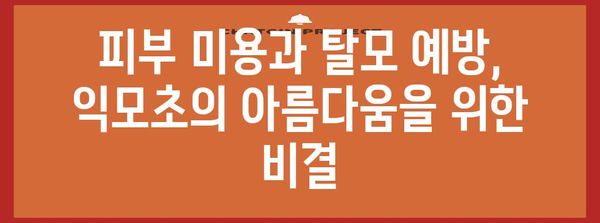 익모초의 다기능 효능 | 8가지 놀라운 이점 확인