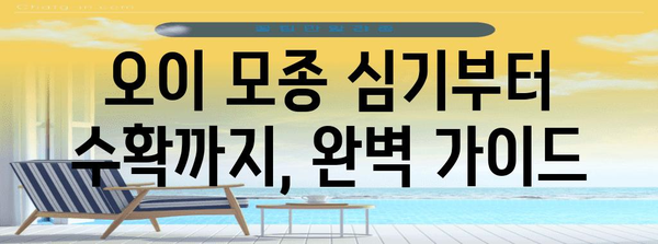 오이 모종 심기 모든 것 | 시기, 방법, 성공적 재배 기술