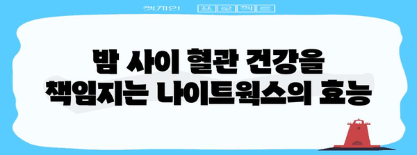 혈관 건강 관리의 비밀 | 허벌라이프 나이트웍스 활용법