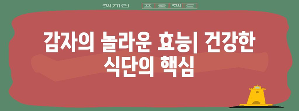 감자 | 칼로리와 효능 알기, 건강한 식단을 위해