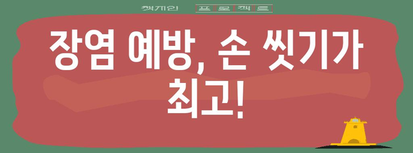 장염 전염 가능성 및 예방 안내
