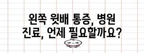 여성 왼쪽 윗배 통증 가이드 | 원인 분석 및 대처법