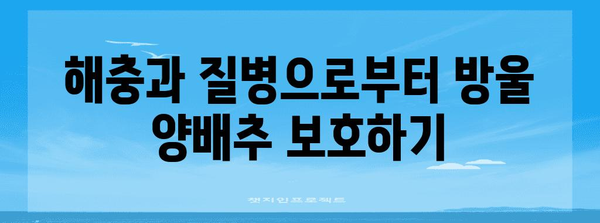 방울 양배추 재배 | 건강한 수확을 보장하는 핵심 원칙