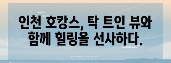 인천 호캉스 최고의 호텔 추천 | 여행의 최강 조력자!