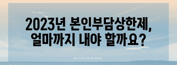 본인부담상한제, 내가 내야 할 의료비는 얼마일까요? | 건강보험, 의료비, 상한액, 계산, 확인