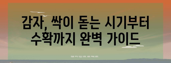 감자 심기의 비결 | 계절별 가이드와 수확 시기
