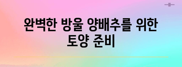 방울 양배추 재배 | 건강한 수확을 보장하는 핵심 원칙