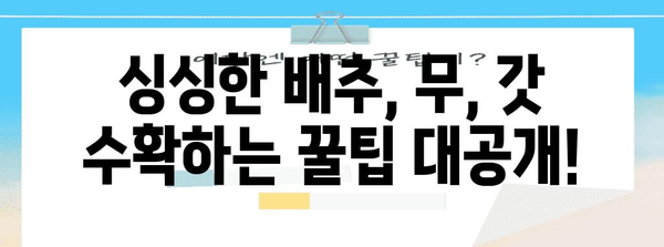 배추, 김장무, 김장갓 심는 최적 시기와 수확 팁