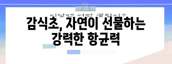 감식초의 강력한 항균 효능 | 천연 살균제의 힘