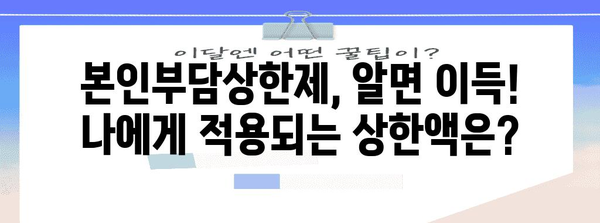 본인부담상한제