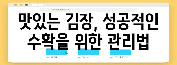 배추, 김장무, 김장갓 심는 최적 시기와 수확 팁