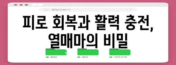 비타민이 가득한 열매마 | 영양소가 마보다 좋은 놀라운 효능