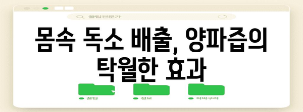 양파즙의 7가지 놀라운 효능 | 자연의 치료제