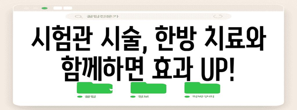 시험관아기 임신 성공 | 한방 치료의 효과적 역할