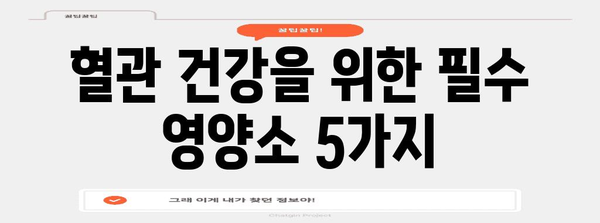 혈관 건강 지키는 영양소 5가지 | 심혈관 질환 예방