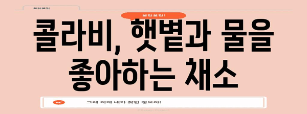 콜라비 심기의 요령 | 시기와 방법 파악하기