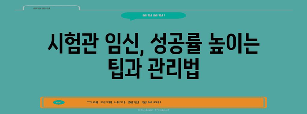 시험관 임신 성공률 높이기 | 일정부터 임테기까지