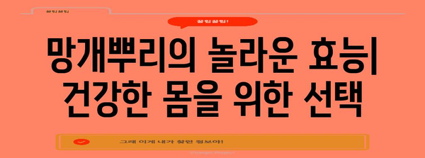 몸속 독소를 자연적으로 제거하는 망개뿌리