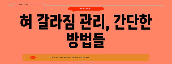 혀염증 갈라짐 예방 및 관리 방법