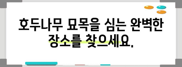 호두나무 묘목 심기 101 | 시기와 방법