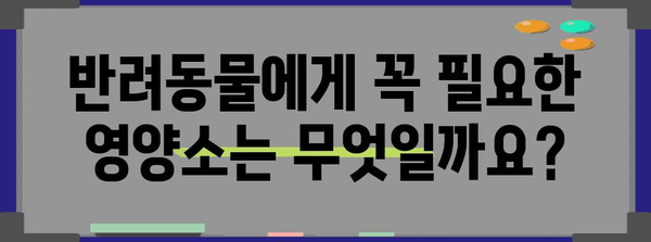반려동물 사료 함정 분석 | 고단백 그레인프리의 진실