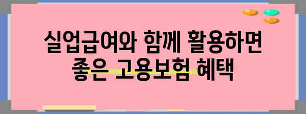 실업급여 신청 완벽 가이드 | 고용보험 활용법