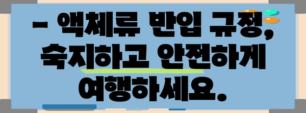 국내선 액체류 반입 안내 | 5가지 필수 사항