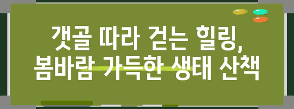 시흥 갯골생태공원에서 즐기는 봄 나들이