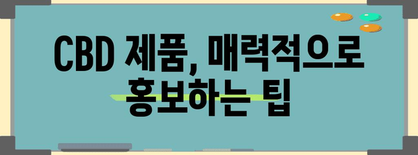 CBD 마케팅 전략 활용 가이드북 | 효과적인 방법과 사례