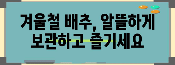 겨울철 배추 보관법 | 싱싱하고 오랫동안 즐기는 방법