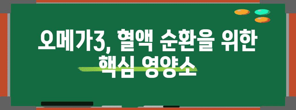 혈액 순환 개선을 위한 오메가3 필수 영양제