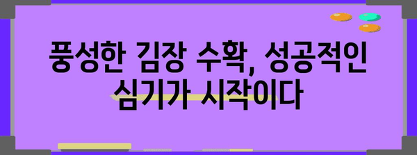 김장배추 모종 완벽심기 가이드 | 가을 김장을 위해