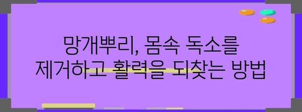 몸속 독소를 자연적으로 제거하는 망개뿌리
