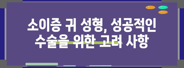 소이증 귀 성형 | 적절한 시기, 고려 사항, 전문 의사 소개