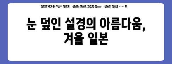 일본 여행을 위한 최적의 시기 | 2024년 기준