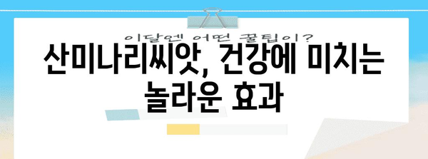 산미나리씨앗의 다양한 효능 찾기