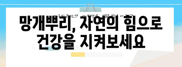 몸속 독소를 자연적으로 제거하는 망개뿌리