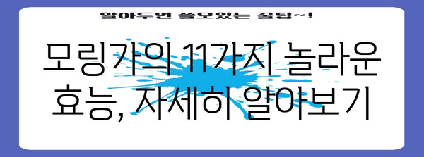 모링가의 11가지 놀라운 효능과 효과적인 섭취법